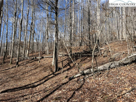 TBD (LOT 3) POPLAR FOREST DRIVE, BOONE, NC 28607, photo 4 of 12