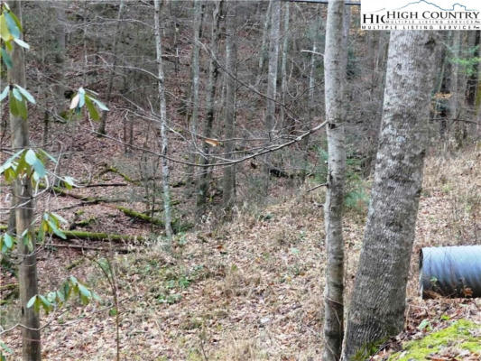 10.1 ACRES POWDER HORN MOUNTAIN ROAD, DEEP GAP, NC 28618, photo 2 of 5