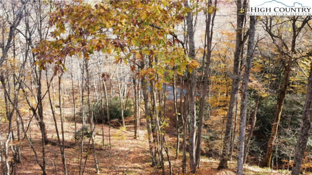 LOT R4 COYOTE TRAILS, BOONE, NC 28607, photo 3 of 46