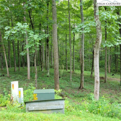 LOT 14 ELK CREEK MOUNTAIN PARKWAY, TODD, NC 28684, photo 5 of 27