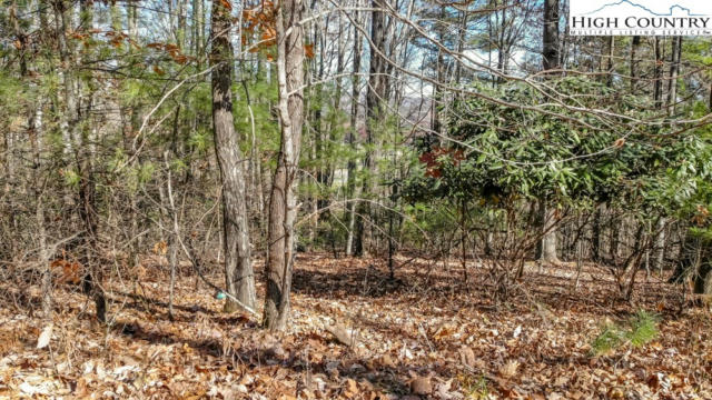 LOT 27 HIGHLAND MEADOWS COURT, FLEETWOOD, NC 28626, photo 4 of 4