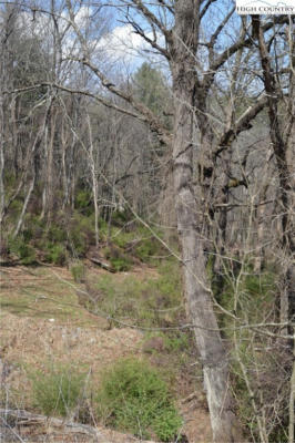 LOT #8 RIVER WALK DRIVE, SPARTA, NC 28675, photo 4 of 14