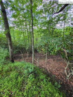 TBD TRISTATE KNOLL, PINEY CREEK, NC 28663, photo 4 of 22