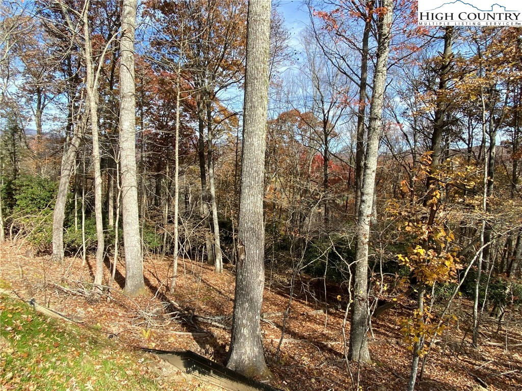 LOT 5 COYOTE TRAILS, BOONE, NC 28607, photo 1 of 43