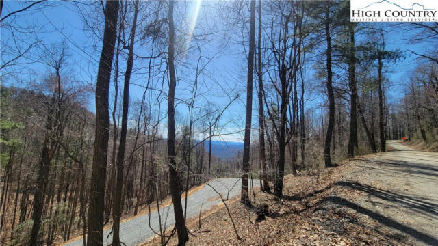 LOT 1 PHILLIPS GAP ROAD, PURLEAR, NC 28665, photo 5 of 6