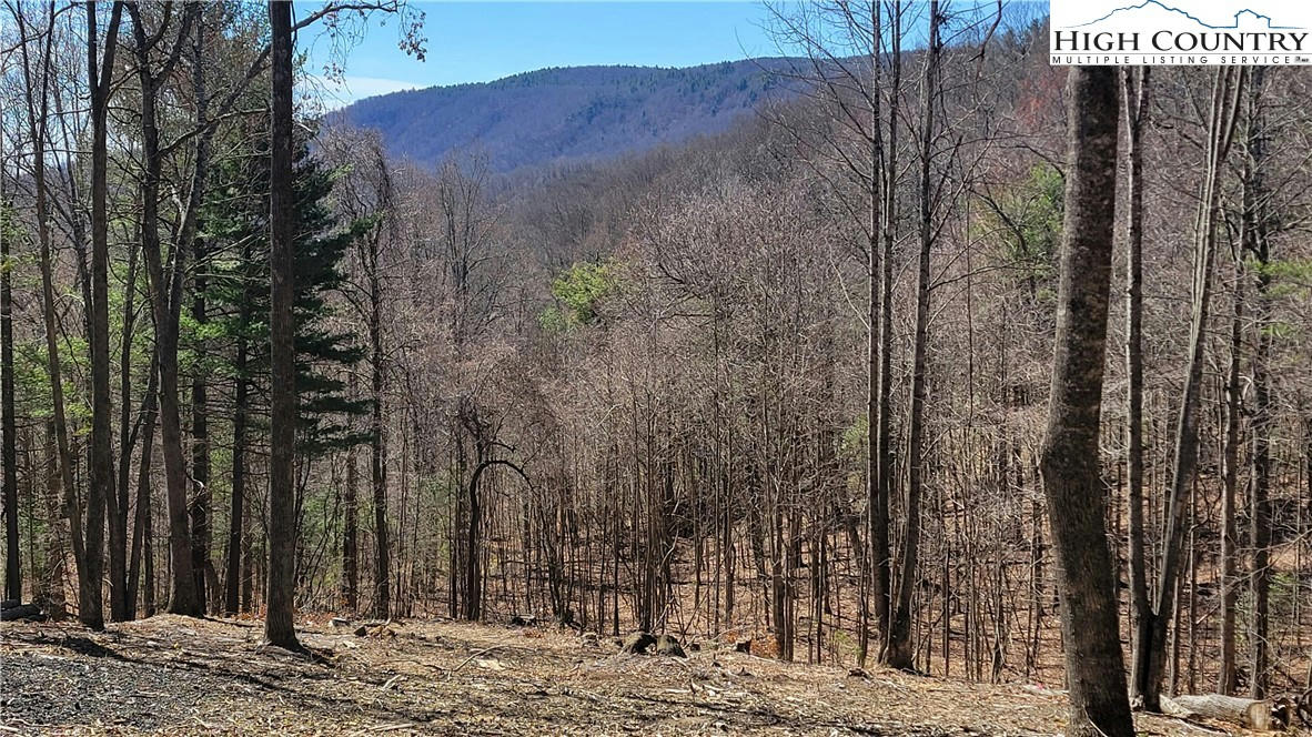 LOT 2 PHILLIPS GAP ROAD, PURLEAR, NC 28665, photo 1 of 6