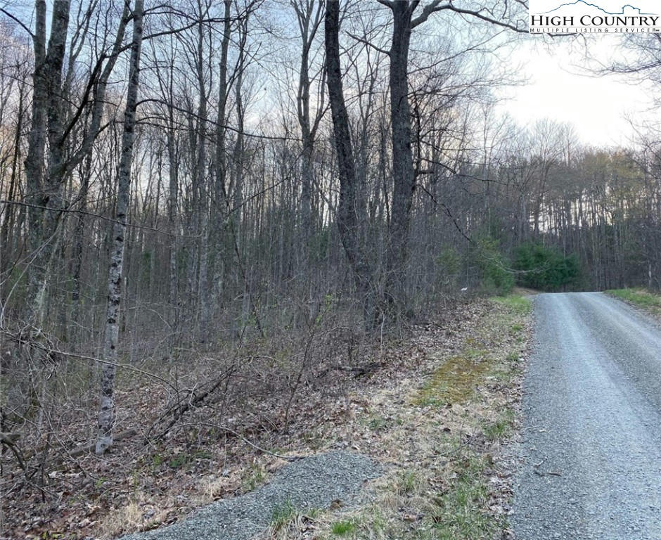 TRACT #24 LONESOME OAK DRIVE, ENNICE, NC 28623, photo 1 of 3