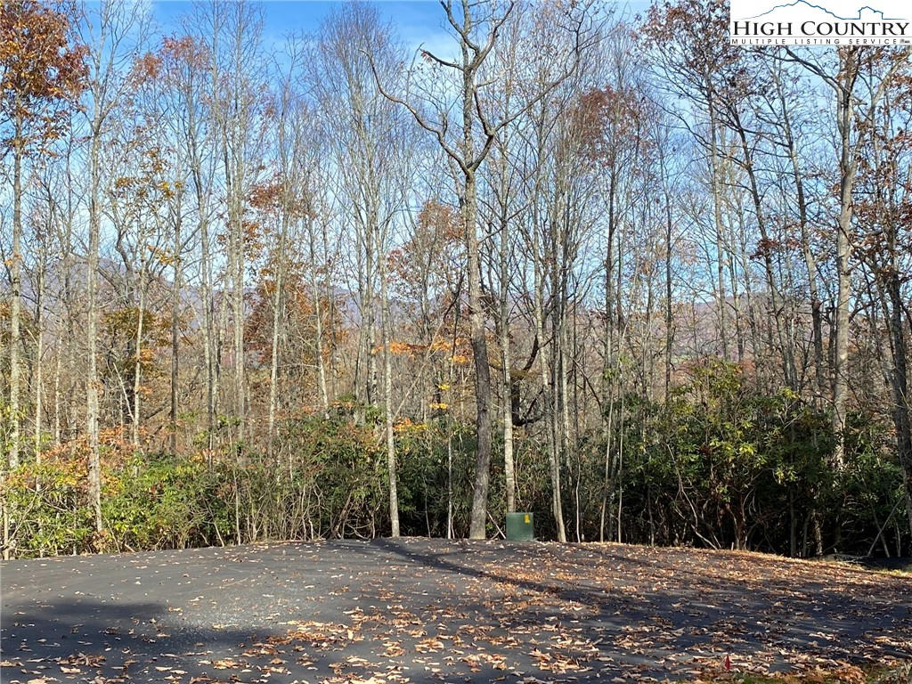 LOT R2 COYOTE TRAILS, BOONE, NC 28607, photo 1 of 36