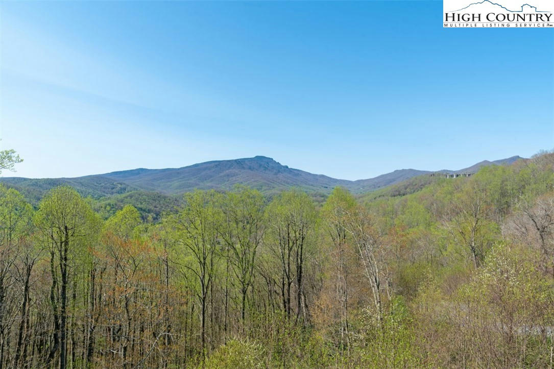 164 EVENING VIEW LN # CB2, BOONE, NC 28607, photo 1 of 25