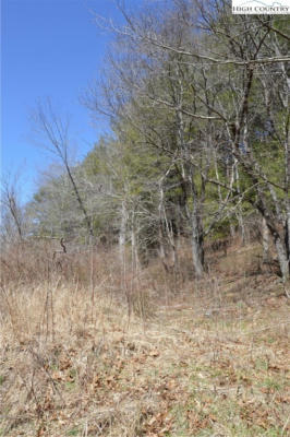 18 RIVER RUN LN LOT 16/17, SPARTA, NC 28675, photo 3 of 27