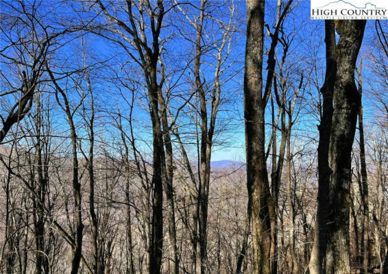 LOT #3 ROCKY TOP TRAIL, SEVEN DEVILS, NC 28604, photo 2 of 5