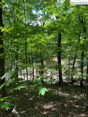 LOT 50 FIRE PINK ROAD, BOONE, NC 28607 - Image 1