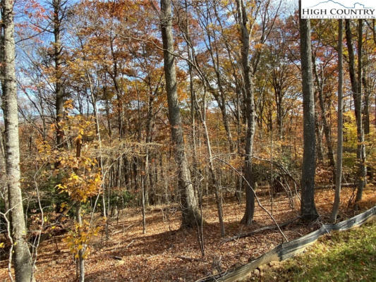 LOT 3 COYOTE TRAILS, BOONE, NC 28607, photo 2 of 46
