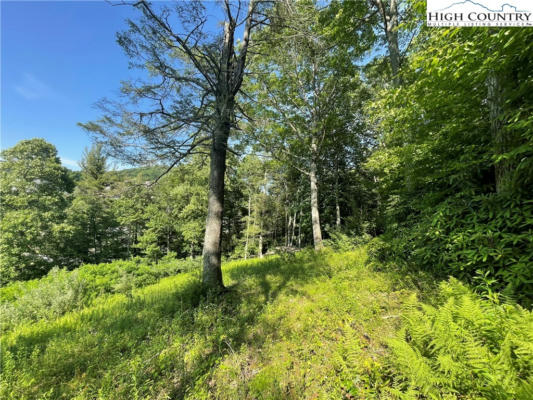 LOT 4 FARM VALLEY LANE, BOONE, NC 28607, photo 2 of 8