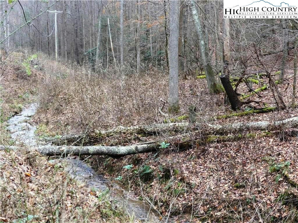 10.1 ACRES POWDER HORN MOUNTAIN ROAD, DEEP GAP, NC 28618, photo 1 of 5