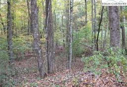 TBD CLEAR VIEW RIDGE ROAD, CRUMPLER, NC 28617, photo 1