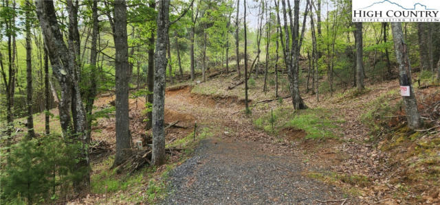 LOT 13 DAVES CONNECTOR HIGHWAY EXT, JEFFERSON, NC 28640 - Image 1