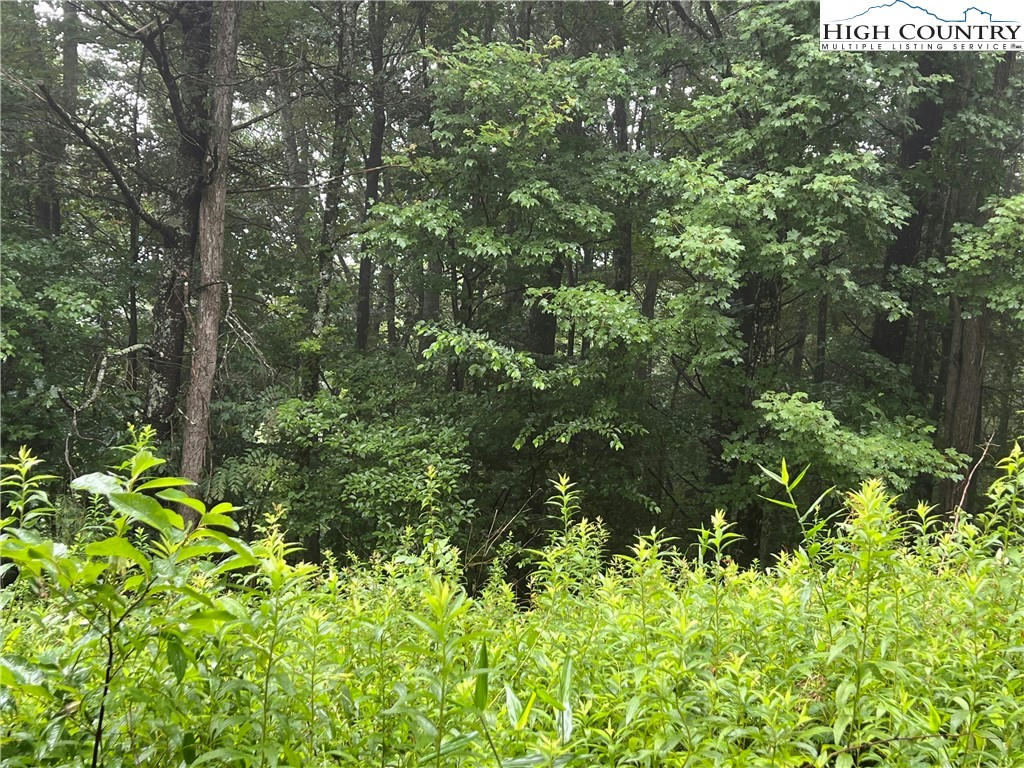 LOT 39 NIKANOR ROAD, WEST JEFFERSON, NC 28694, photo 1 of 6