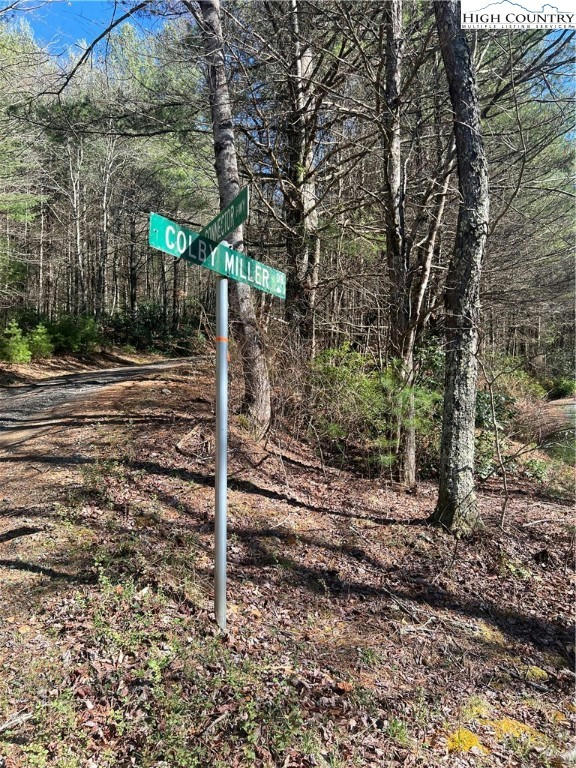 LOT 98 AND 99 COLBY MILLER ROAD, JEFFERSON, NC 28640, photo 1 of 7