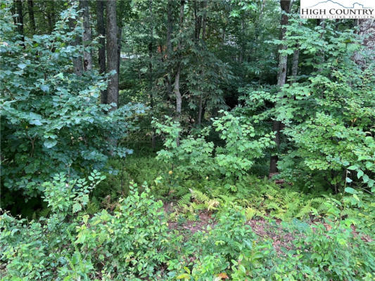 LOT 62 MOUNTAIN BREEZE KNOLL, BLOWING ROCK, NC 28605, photo 2 of 12