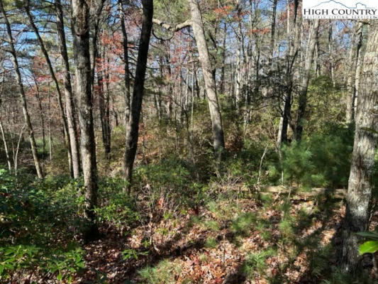 LOT 27 WALDEN LANE, WEST JEFFERSON, NC 28694, photo 3 of 11