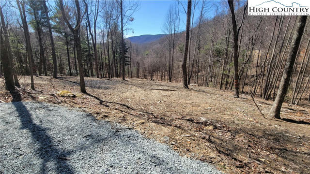 LOT 2 PHILLIPS GAP ROAD, PURLEAR, NC 28665, photo 3 of 6