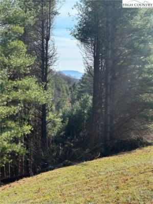 LOT 6 WILDCAT ROAD, DEEP GAP, NC 28618, photo 4 of 5