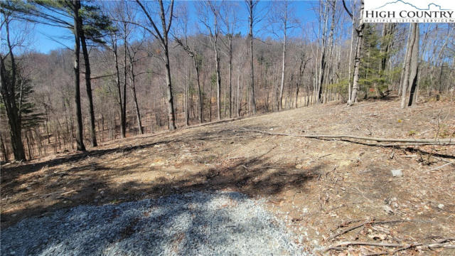 LOT 3 PHILLIPS GAP ROAD, PURLEAR, NC 28665, photo 5 of 6