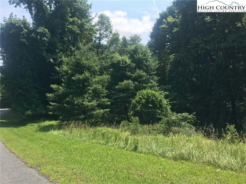 TBD HOLLYKNOLL LOT 49 & 50 ROAD, GLADE VALLEY, NC 28627, photo 1 of 3