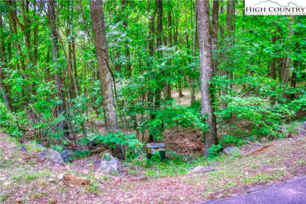 LOT 19 QUAIL RIDGE DRIVE, FLEETWOOD, NC 28626, photo 4 of 10