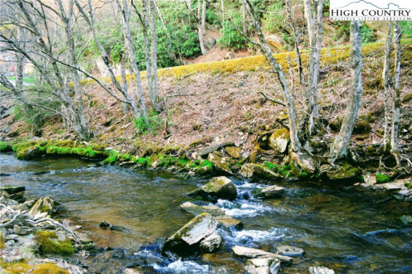 LOT 101 BEAVER LODGE TRAIL, BLOWING ROCK, NC 28605, photo 2 of 11