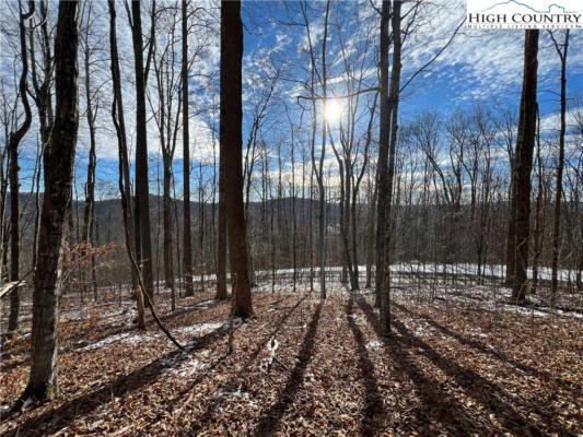 LOT 60 ELK CREEK MOUNTAIN PARKWAY, TODD, NC 28684, photo 4 of 16