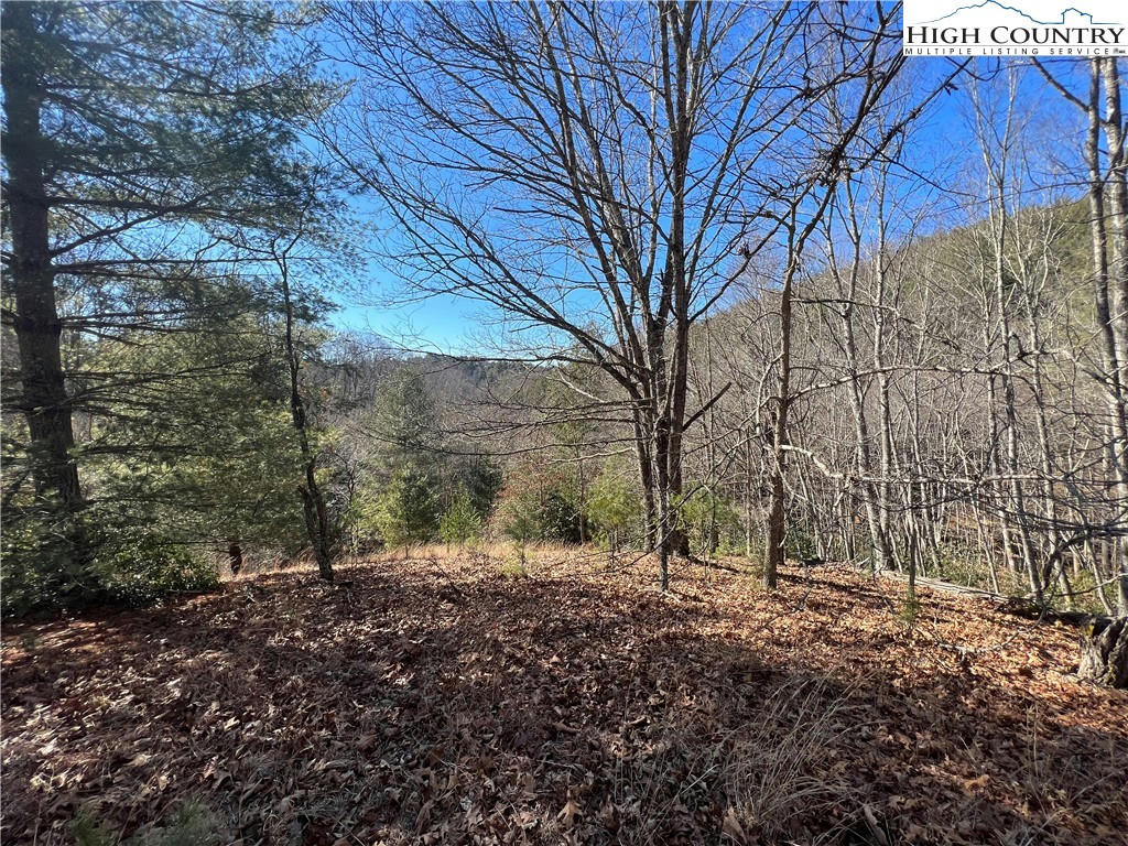 L43 ISABELLE ROSE WAY, PINEY CREEK, NC 28663, photo 1 of 11