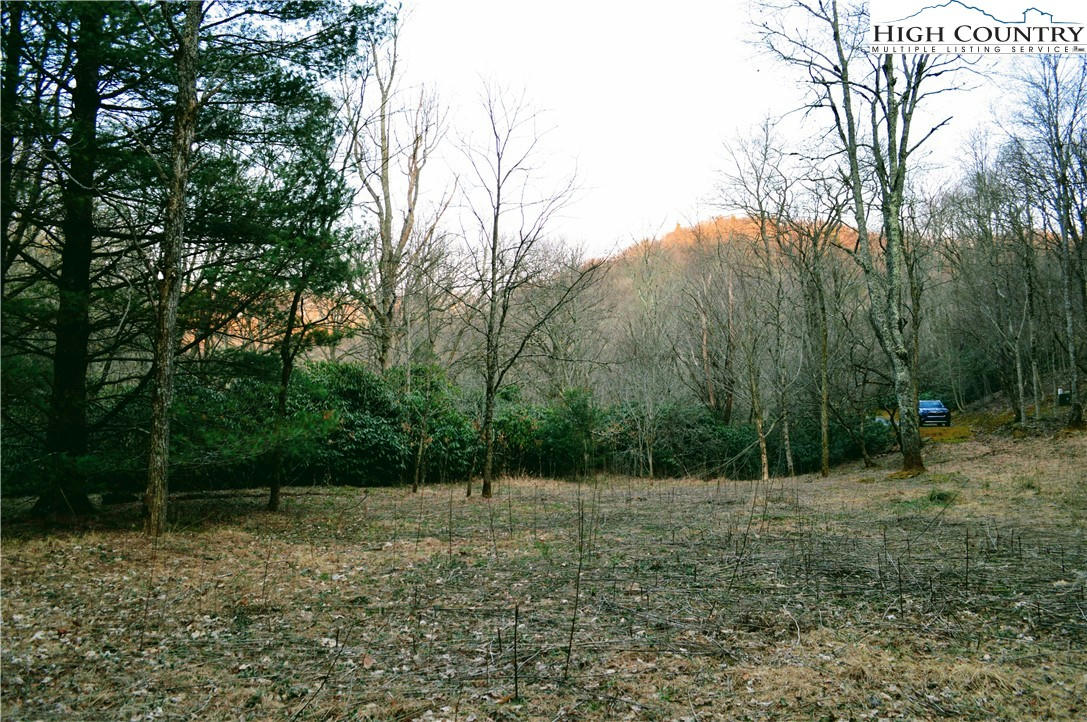 LOT 101 BEAVER LODGE TRAIL, BLOWING ROCK, NC 28605, photo 1 of 11