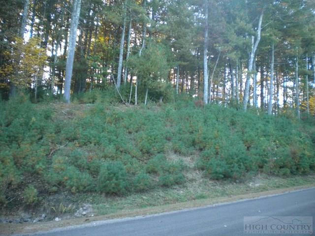 LOT 3 PINE CHASE, GLADE VALLEY, NC 28627, photo 1
