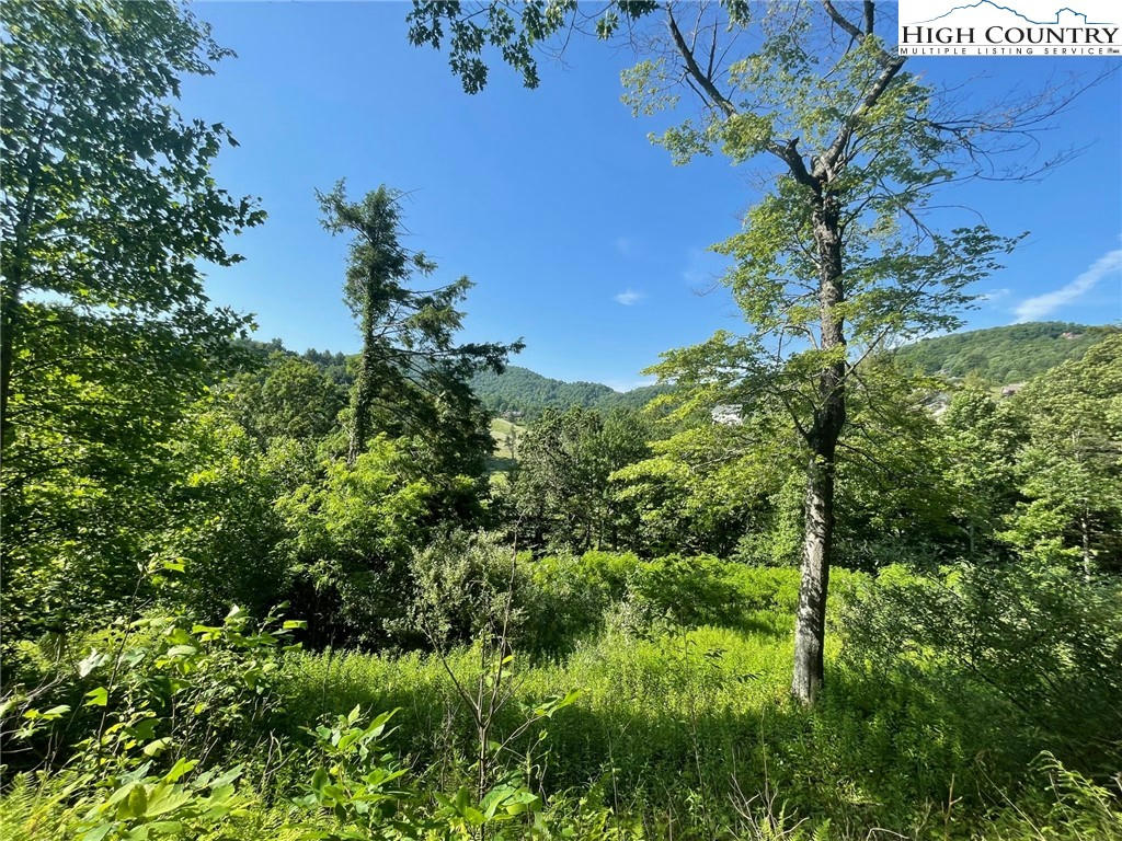 LOT 4 FARM VALLEY LANE, BOONE, NC 28607, photo 1 of 8