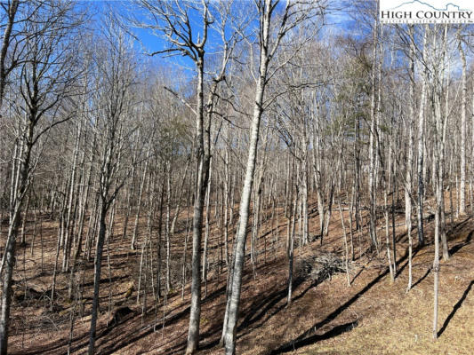 TBD (LOT 3) POPLAR FOREST DRIVE, BOONE, NC 28607, photo 2 of 12