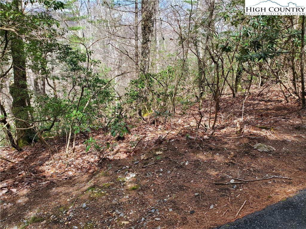 LOT 6 RIVER RIDGE ROAD, BOONE, NC 28607, photo 1 of 7