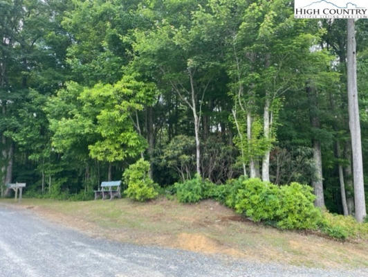 LOT #41 LOST RIDGE TRAIL, VILAS, NC 28692, photo 3 of 13