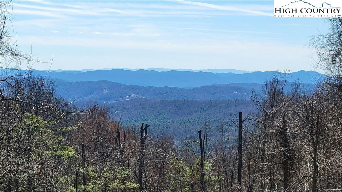 LOT 1 PHILLIPS GAP ROAD, PURLEAR, NC 28665, photo 1 of 6