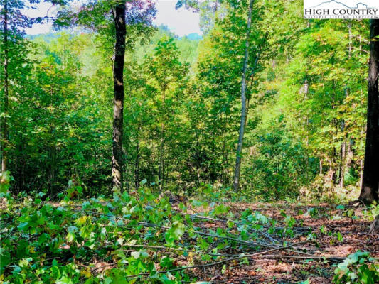 1.85 ACRES, LOT 925 HIGH VALLEY WAY, LENOIR, NC 28645, photo 3 of 46