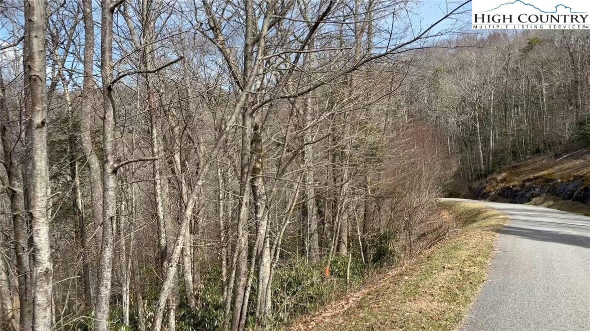 TBD LOT 124 FIRETHORN TRAIL, BLOWING ROCK, NC 28605, photo 1 of 11