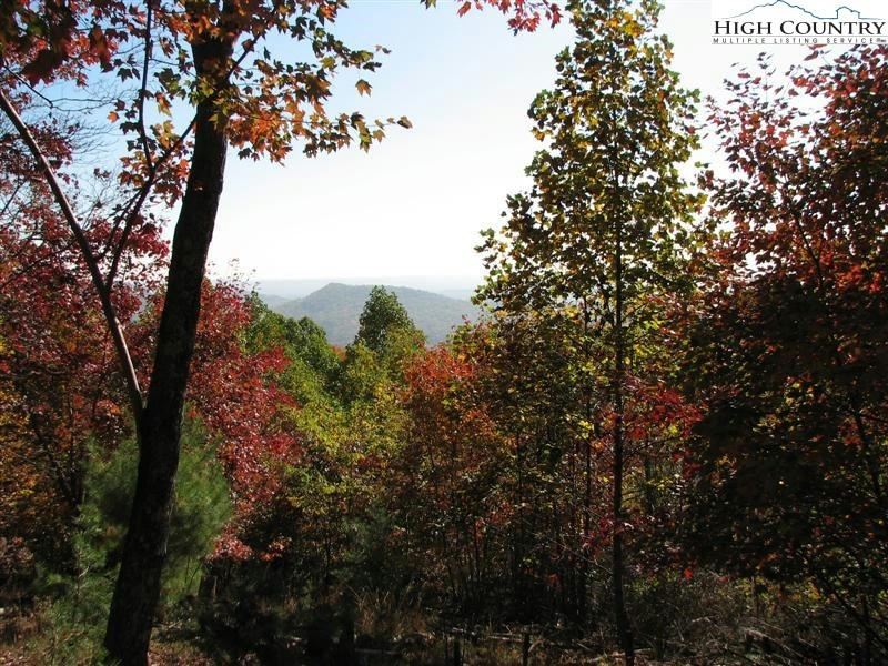 LOT #13 OVERLAND TRAIL, HAYS, NC 28635, photo 1 of 8