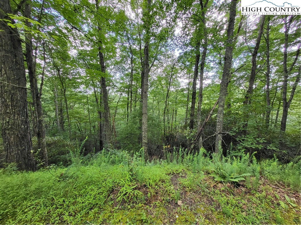 TBD TRISTATE KNOLL, PINEY CREEK, NC 28663, photo 1 of 22