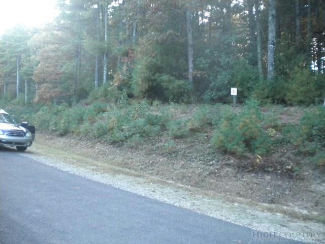 LOT 4 PINE CHASE, GLADE VALLEY, NC 28627, photo 1