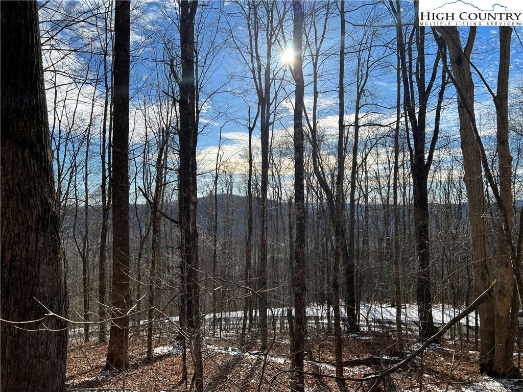 LOT 60 ELK CREEK MOUNTAIN PARKWAY, TODD, NC 28684, photo 1 of 16