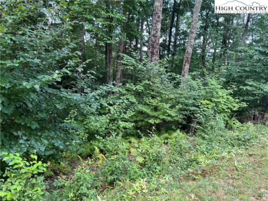 LOT 62 MOUNTAIN BREEZE KNOLL, BLOWING ROCK, NC 28605, photo 4 of 12