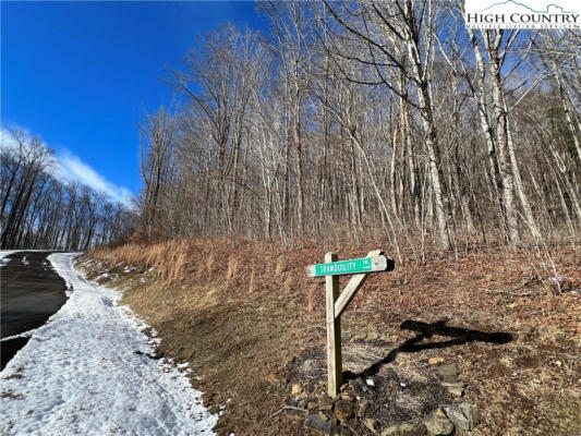 LOT 60 ELK CREEK MOUNTAIN PARKWAY, TODD, NC 28684, photo 2 of 16