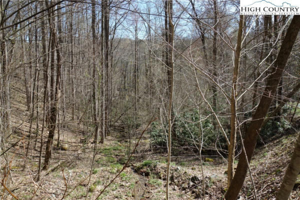 LOT 8B TWIN RIVERS DR DRIVE, BOONE, NC 28607, photo 5 of 19
