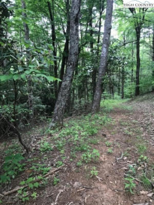 LOT 48 WHITE TAIL ROAD, WEST JEFFERSON, NC 28694, photo 5 of 5